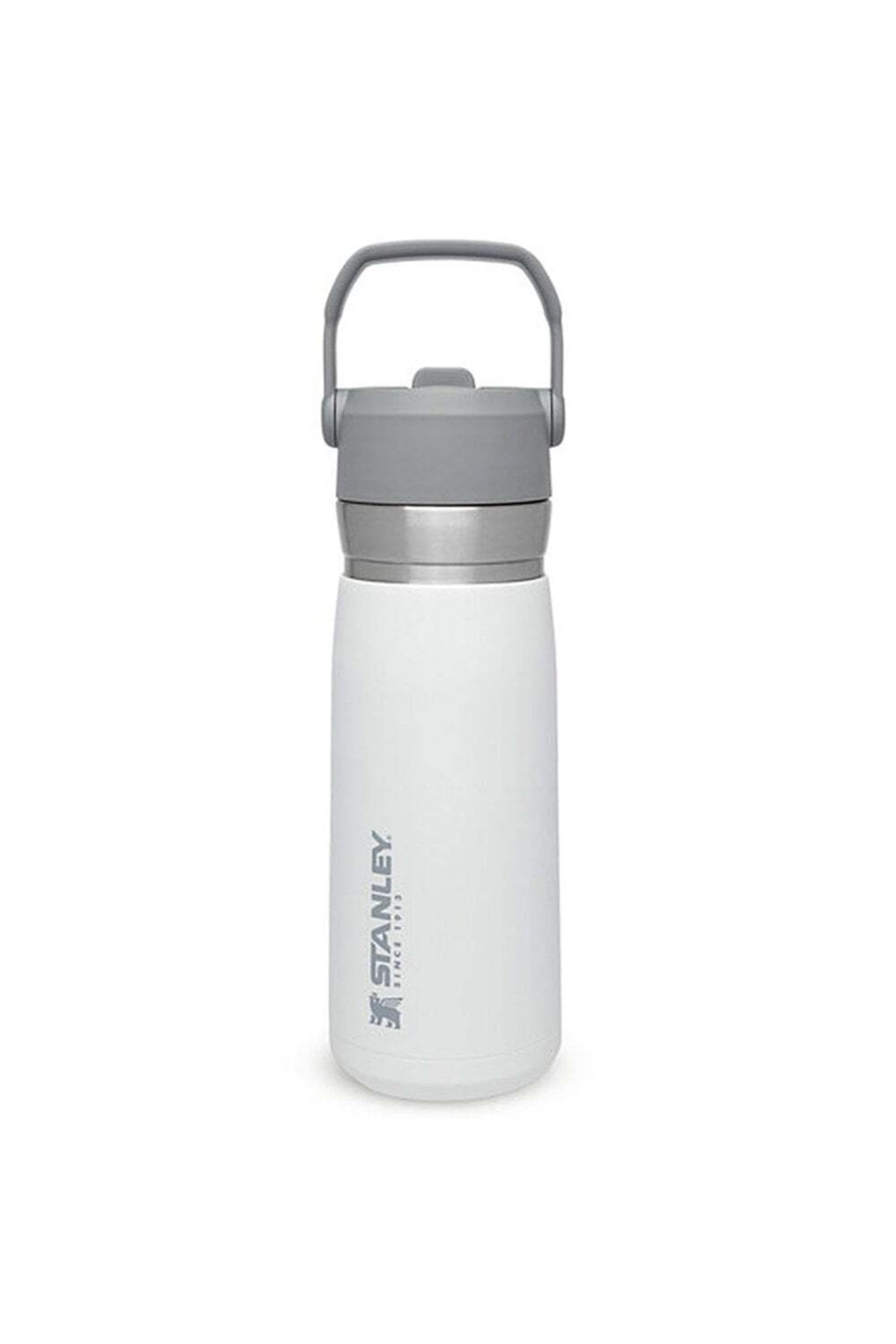 Go%20Iceflow%20Pipetli%20Paslanmaz%20Çelik%20Soğuk%20Su%20Termosu%200.65%20Lt